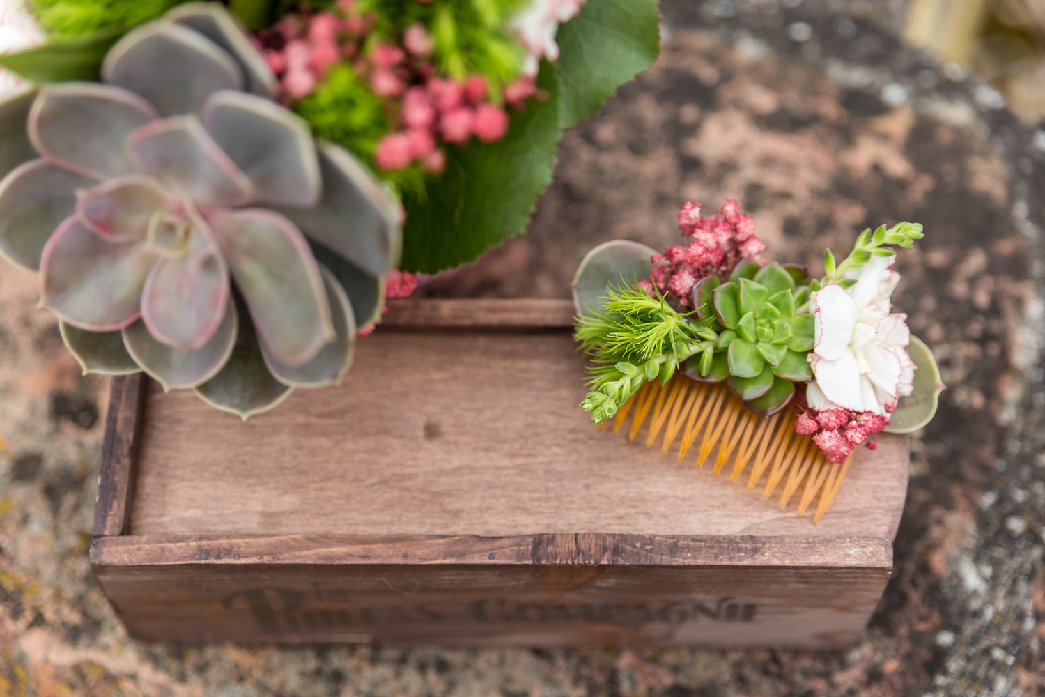 bouquet mariee plantes grasses